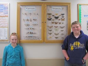 Young entomologists insect display at SynTech Research, Kansas
