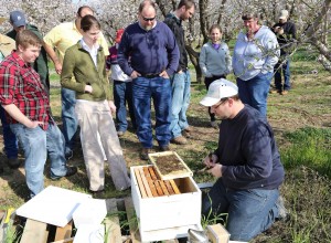 In-field experience provides valuable training for bee health unit staff