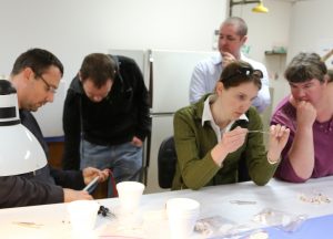Bee health unit staff participate in laboratory work during the workshop