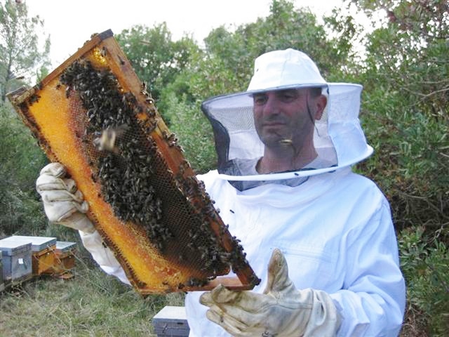 SynTech Spain contributes to global Bee Health Unit training