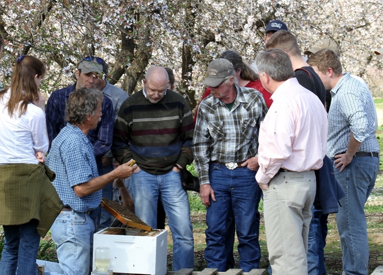 Bee Health Unit staff enhance their pollinator trials expertise