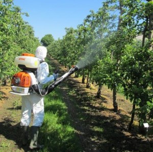Orchard residue trial