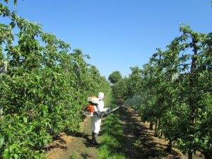 Top fruit fungicide trial treatment