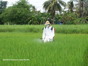 Residue trial on Rice, Vietnam copy 2