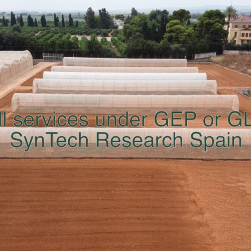 SynTech Research Spain facilities and services in Valencia.