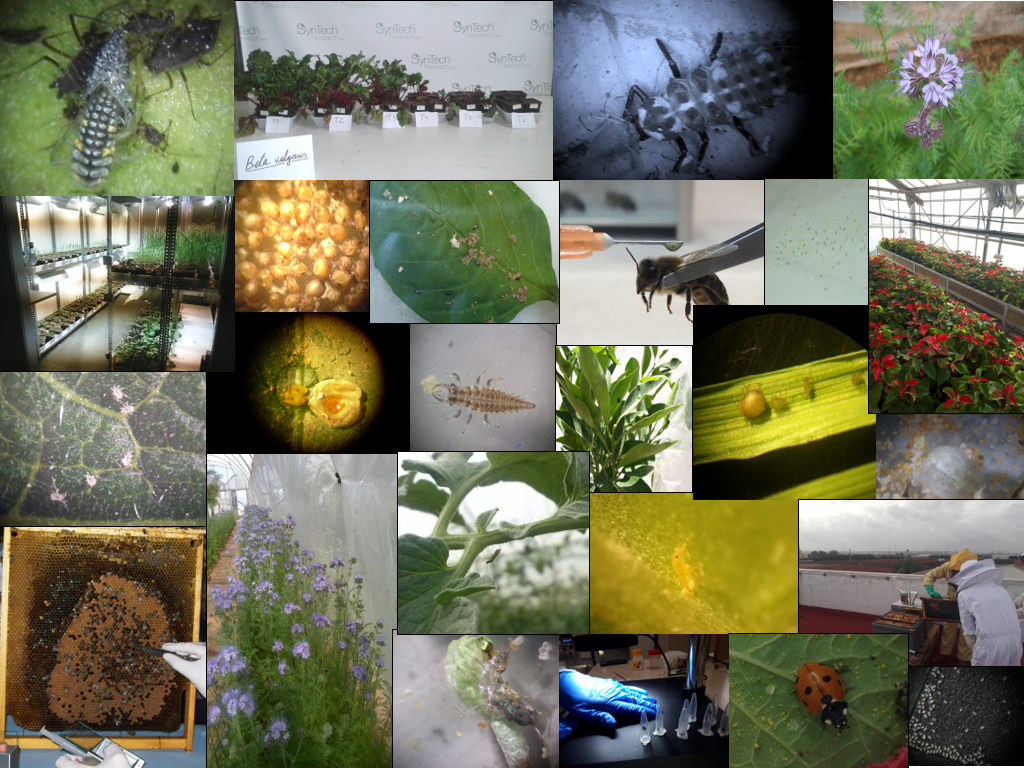 Environmental impact studies in agriculture
